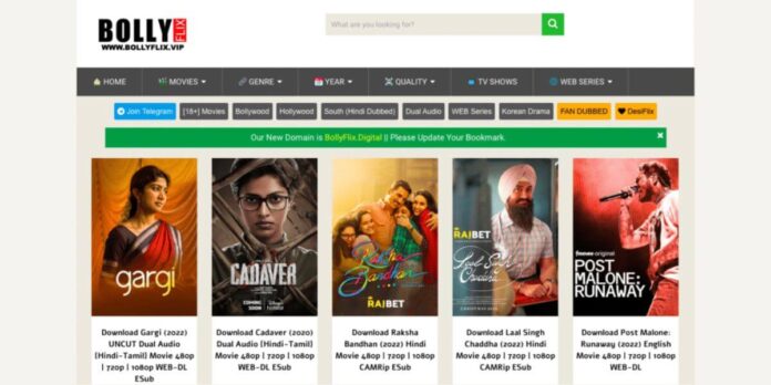 Bollywood Meets Streaming: The Rise of Bollyflix