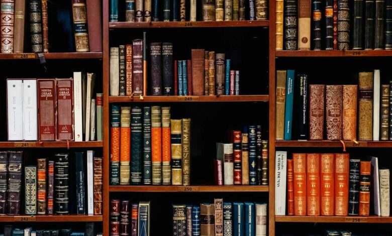 Educationbeing.com: AI Transforming Education for All Learners