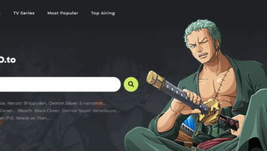 Exploring Zoro.to: A Popular Destination for Anime Streaming