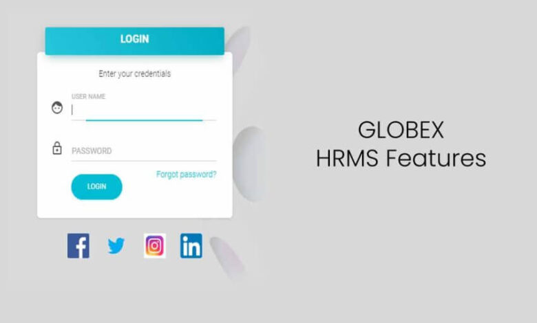 Exploring HRMS Globex: Revolutionizing Human Resource Management