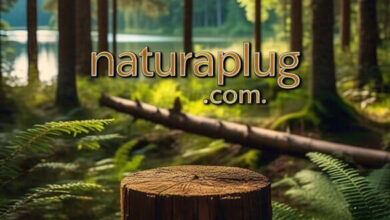 Exploring Naturaplug.com: A Gateway to Sustainable Living