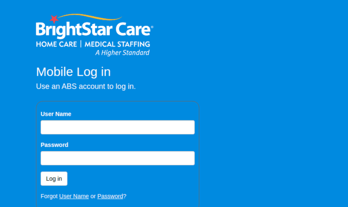 Mabs.brightstarcare.com Login: A Complete Guide