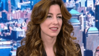 Kristy Greenberg: Wiki, Bio, Age, Career & Net Worth