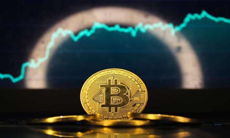 Deciphering the Factors Influencing Bitcoin Pricing