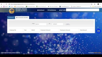 Napsa Login: Step-by-Step Guide to Access Your Account