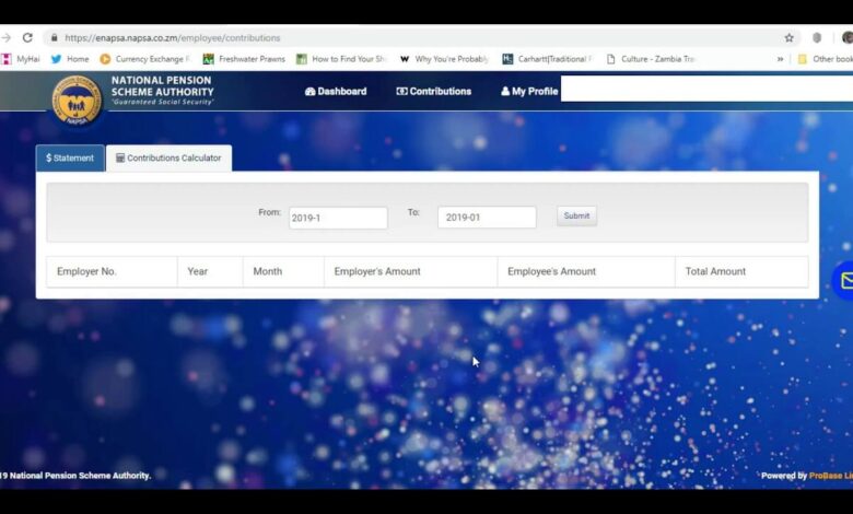 Napsa Login: Step-by-Step Guide to Access Your Account